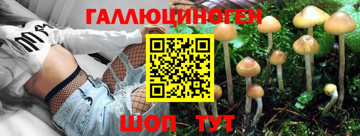 Псилоцибиновые грибы MAGIC MUSHROOMS  Псилоцибиновые грибы Psilocybe  Семилуки  Вход с VPN 