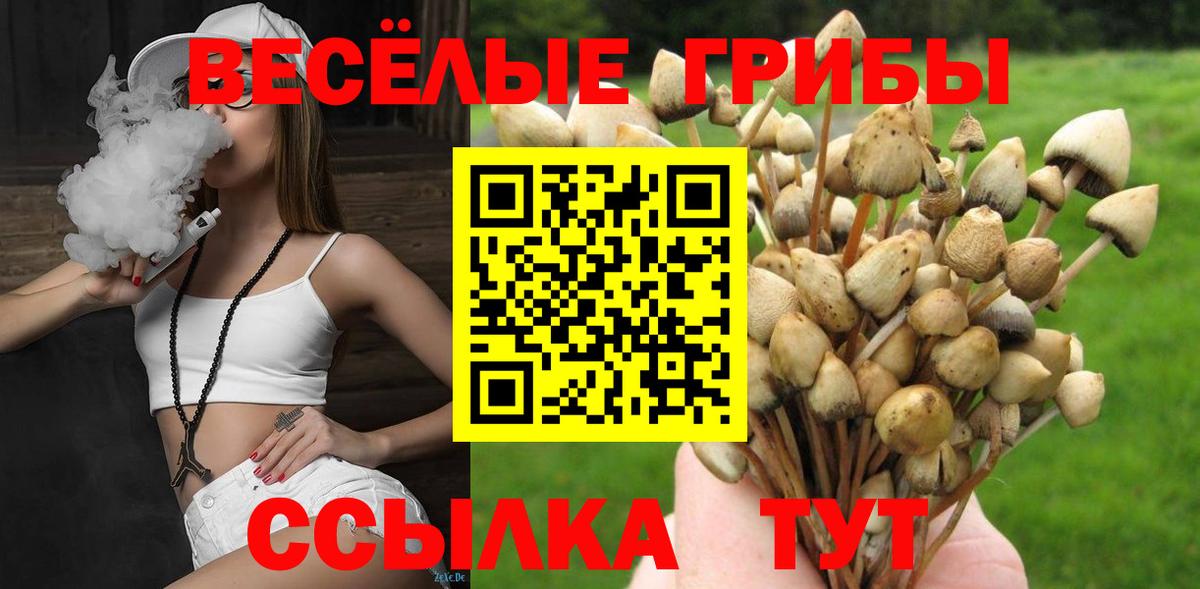 Псилоцибиновые грибы мицелий Семилуки